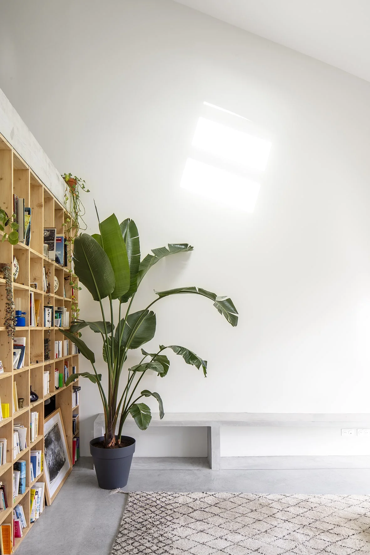 double hauteur du salon